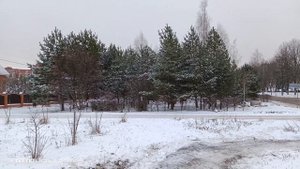 Наступленіе зимы.