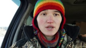 Про холода и птичек