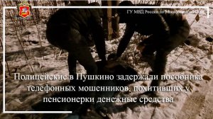 Полицейские в Пушкино задержали пособника телефонных мошенников, похитивших у пенсионерки деньги