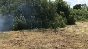 Сено,трактор,хрюшки,ждём пополнения)))