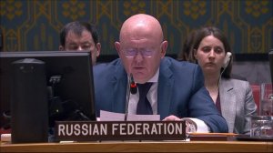 Statement by PR Vassily Nebenzia at a UNSC Briefing on the Situation in the Middle East