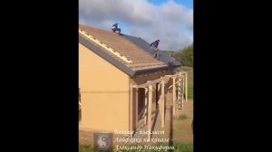 Лайфхак. Установка крыши с использованием кликфальца