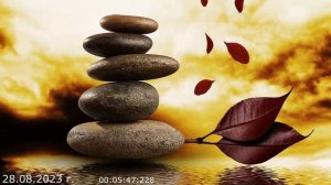 768 Вопрос в группу ВК 28.08.2023 г