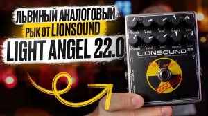 ЛЬВИНЫЙ аналоговый РЫК от LIONSOUND. Light Angel 22.0