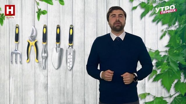 Для чего нужен Дендроплан