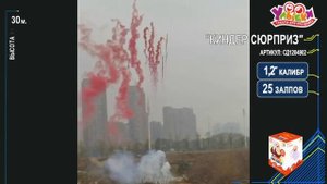 СД1204902 Киндер-сюрприз (розовый)
