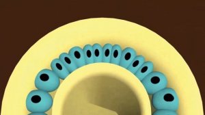 Ренин-ангиотензин-альдостероновая система | Medanatfarm