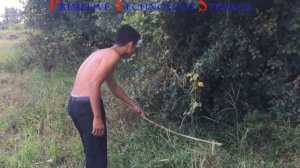 Primitive Technology Strange; Handsome Man Catch Snakes In The Mountains