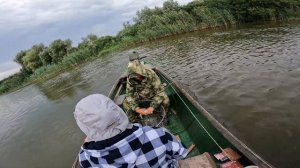 2024 год август 26 утро, с. Вышка, Астраханская область / судак.