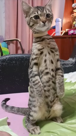 Меня много и везде 😃