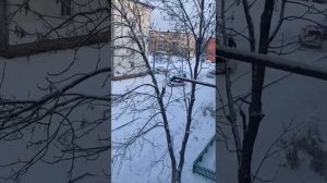 ДПС 1 час