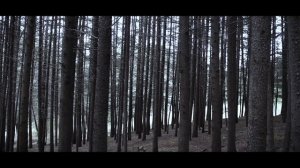Sonor Am - El gigante (Videoclip Oficial)