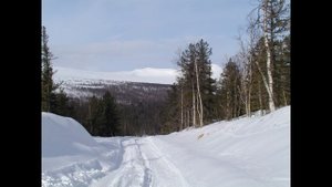 югорская природа