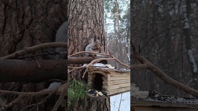 Потихонечку помаленечку точим семечку️