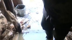 Потоп в моем хозяйстве,чуть не обанкротился