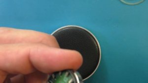 Редчайшая Слава амфибия