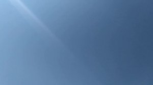 Бойные Голуби. Гоняем восьмёрку чернохвостых. 02.07.20