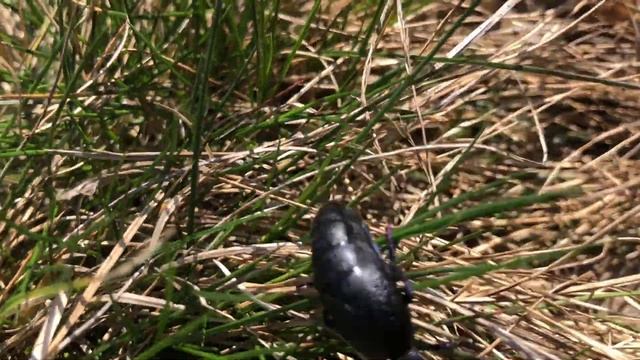 7 апреля 2024 смотреть онлайн