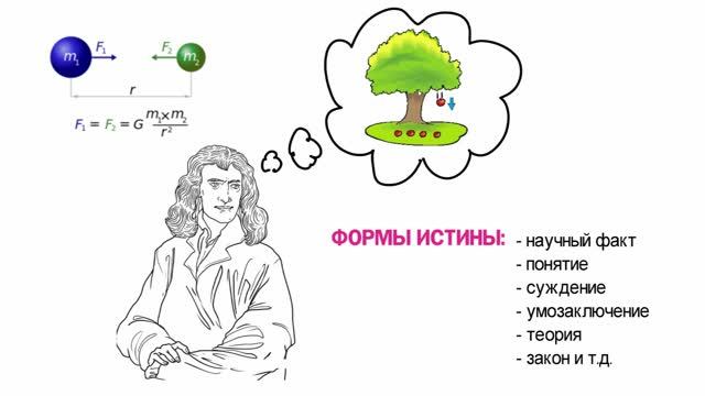 1.5 Понятие истины, её критерии | ЕГЭ по обществознанию без репетитора