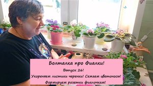 Болталка про Фиалки! Выпуск 26: Укореняем листики черенки! Сажаем цветоносы! Формируем розетки!