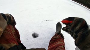 Рыбалка 17 декабря на самую уловистую самодельную безмотылку