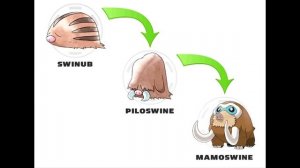 Эволюция покемонов (Evolution of Pokemons)