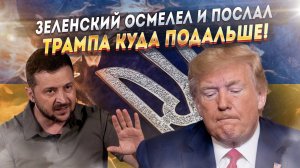 «Чуть помедленнее, Донни, чуть помедленнее!» - Зеленский молит Трампа о пощаде!