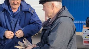 Воронеж 2 часть.Ярмарка голубей города Воронежа.