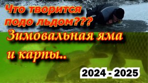 ПЕРВЫЙ ЛЁД И ТАКАЯ УДАЧА . ПОДВОДНАЯ КАМЕРА ДЛЯ РЫБАЛКИ НАШЛА ЯМУ КАРП ЗИМОЙ. РЫБАЛКА С КАМЕРОЙ