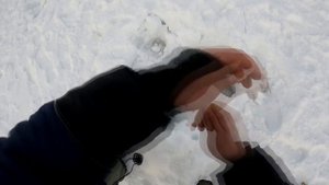 Рыбалка за северным полярным кругом, самая большая корюшка водится только здесь. Рыбалка на корюшку