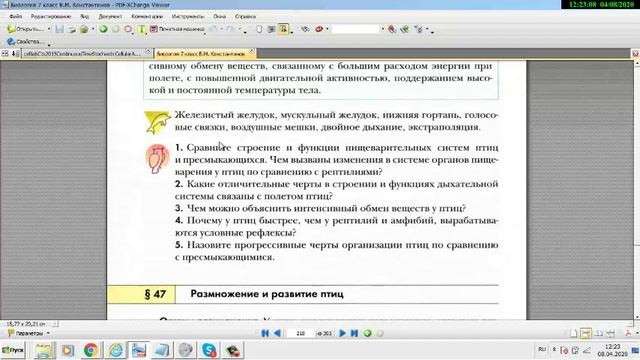 половое поведение птиц  нарушение моногамии