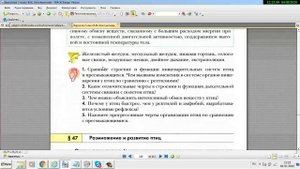 половое поведение птиц  нарушение моногамии