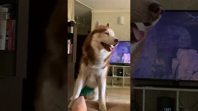 На самом деле эта часть довольна большая смотреть онлайн