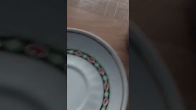 Сею баклажаны на рассаду в стаканчики