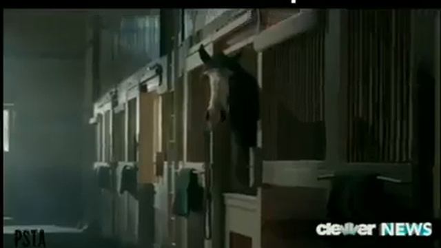 Yaara Teri yaari song Friendship || save animals || usuk || 2019 || смотреть онлайн