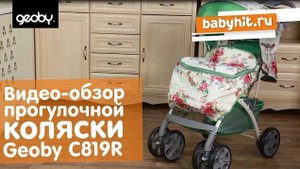 Видеообзор прогулочной коляски Geoby C819R