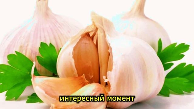 Ешьте ЧЕСНОК, но НИ в КОЕМ СЛУЧАЕ НЕ ДОПУСКАЙТЕ эти ОПАСНЫЕ ОШИБКИ…