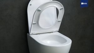 Преимущества унитаза LEMARK