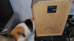 PANASONIC ВРЁТ! Есть-ли отличия, между SB-AK320 и SB-AK520 колонками