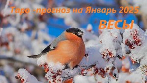 Таро-прогноз на ЯНВАРЬ 2025 для людей, родившихся под знаком зодиака ВЕСЫ