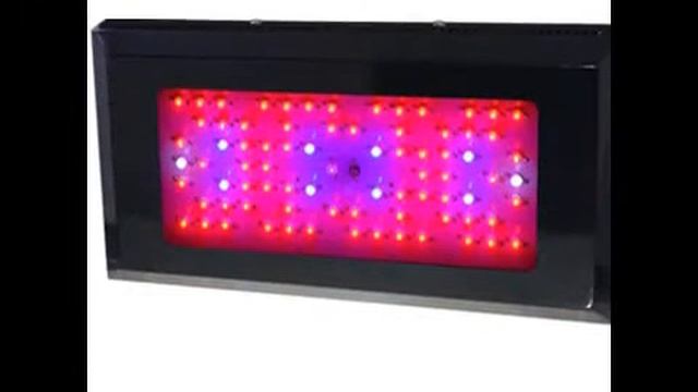 Apollo Led Grow Lights | Ecoledgrowlight.Com