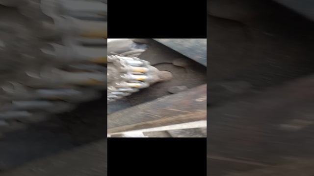 Трактор МТЗ 82 с лебедкай для трелевки леса