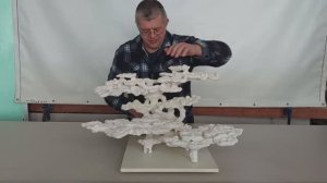ДФ-350 . Декорация для морского аквариума.