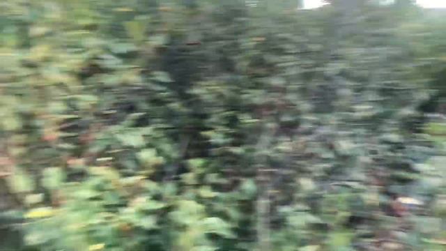 15.16.07.2023 смотреть онлайн