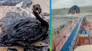 Путин о крушении танкеров в Керченском проливе