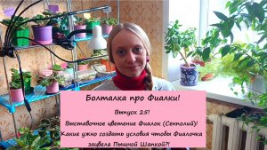 Болталка про Фиалки! Выпуск 25: Выставочное цветение Фиалок! Фиалочка зацветет Пышной Шапкой!
