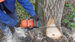 Валка леса профессиональная Валка дерева от Lesorub Stihl MS 361