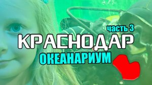 Краснодар. часть 3. Океанариум