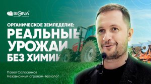 Органическое земледелие: реальные урожаи пшеницы, сои и подсолнечника БЕЗ химии!