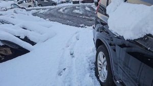 nt31 mr20 de 85410 км